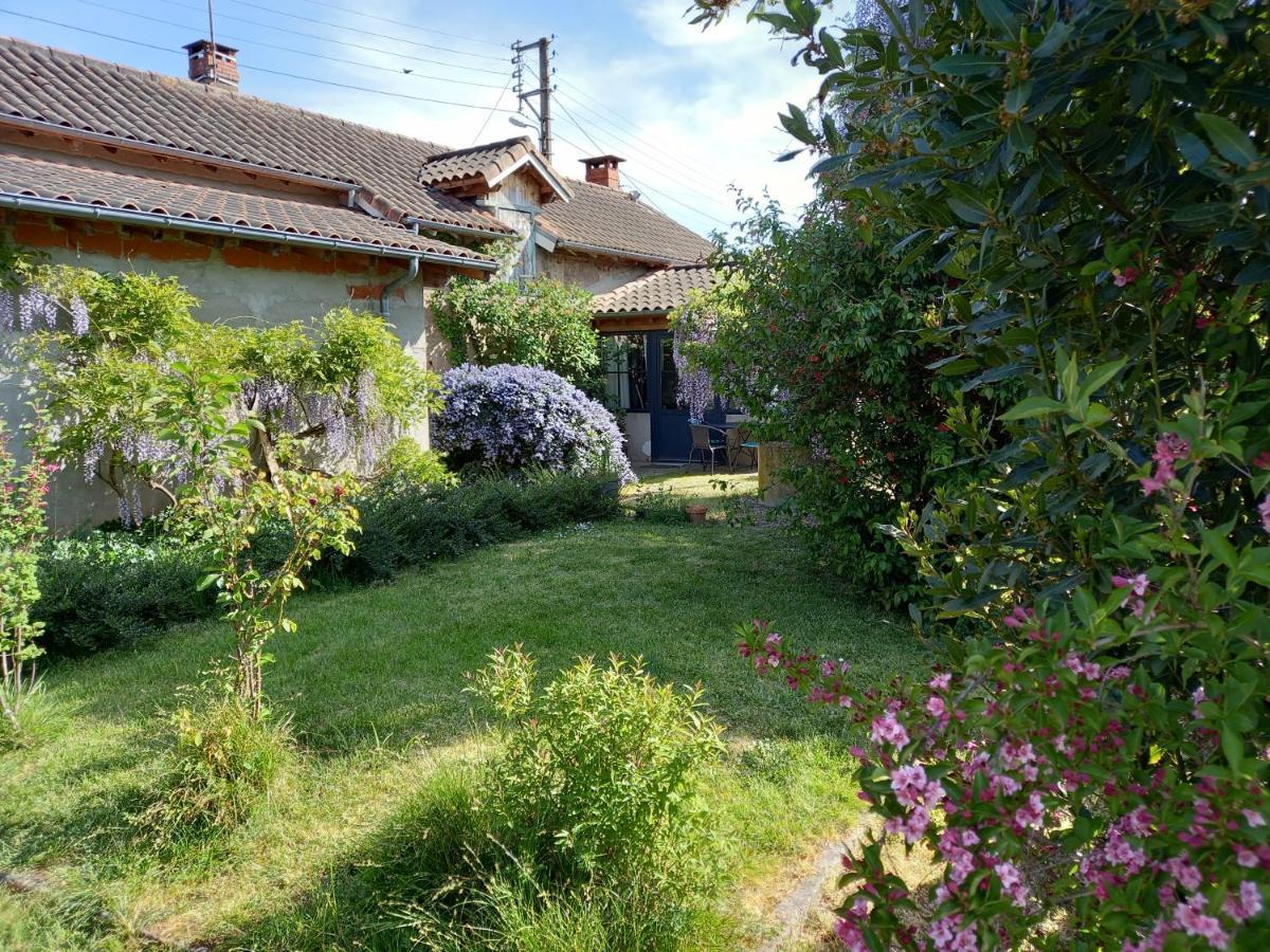 La Maison Molieres Montauban Kültér fotó